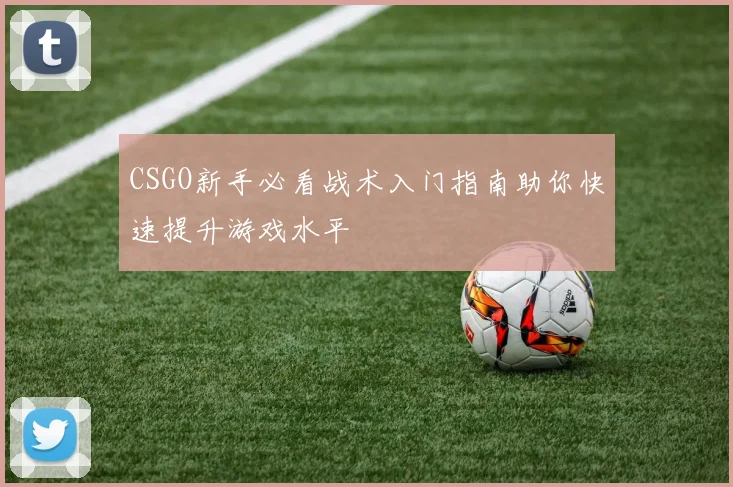 CSGO新手必看战术入门指南助你快速提升游戏水平