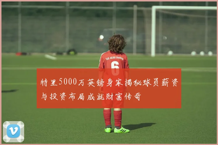 特里5000万英镑身家揭秘球员薪资与投资布局成就财富传奇